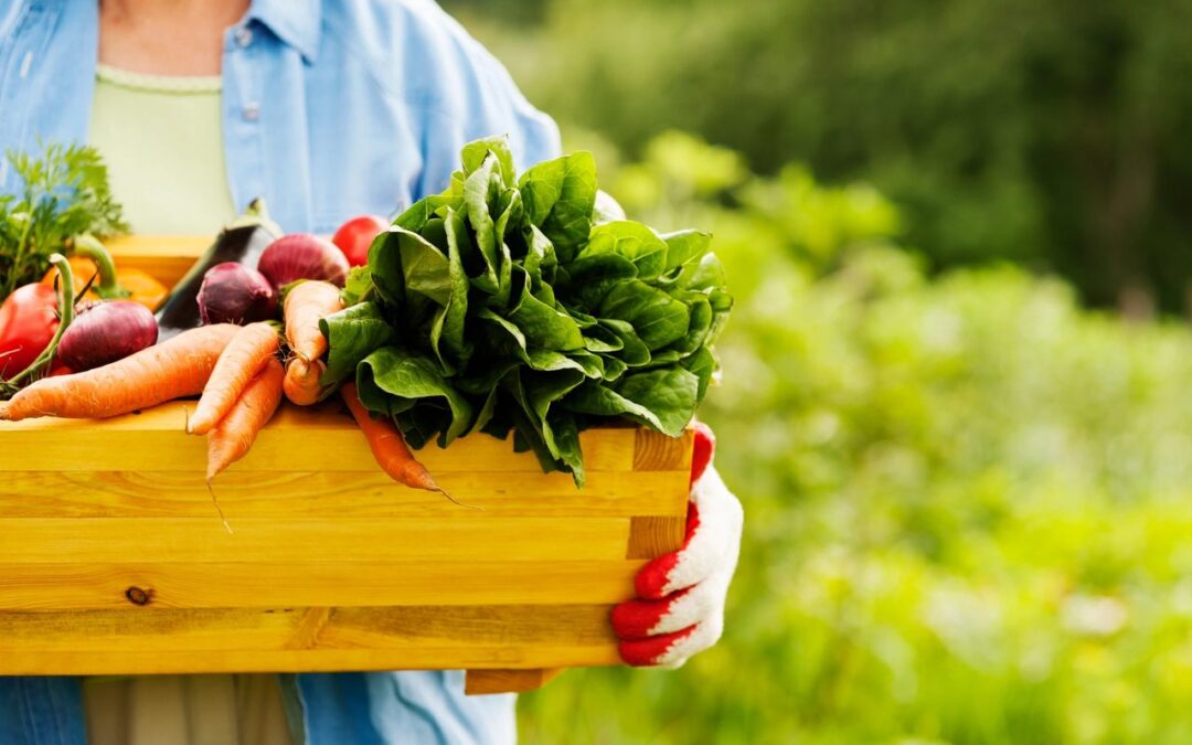 Gardening Without Back Pain