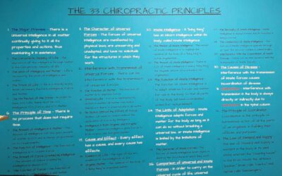 What is a Principled Chiropractor?