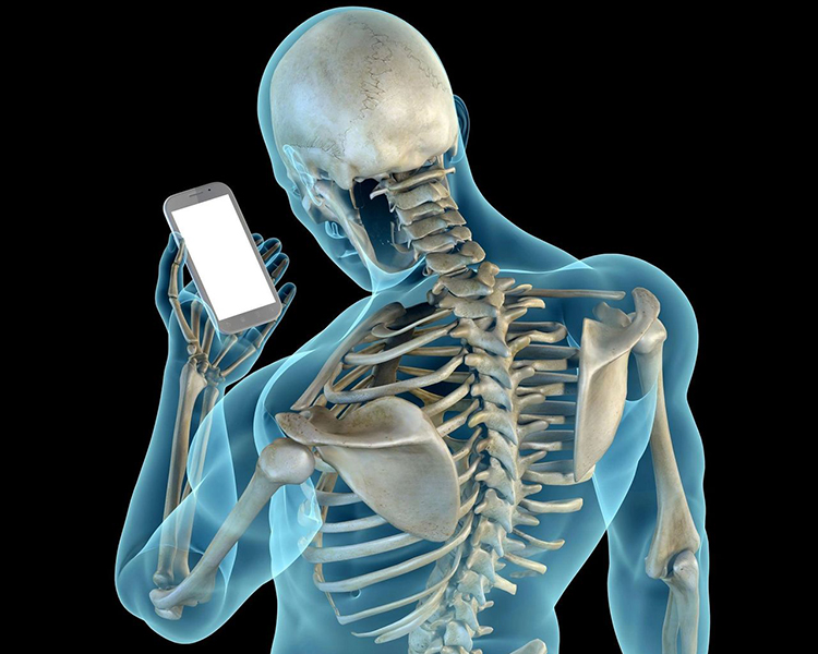 wellness care